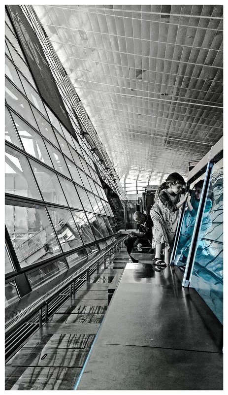 Tel Aviv Airport. - Maxim Polak