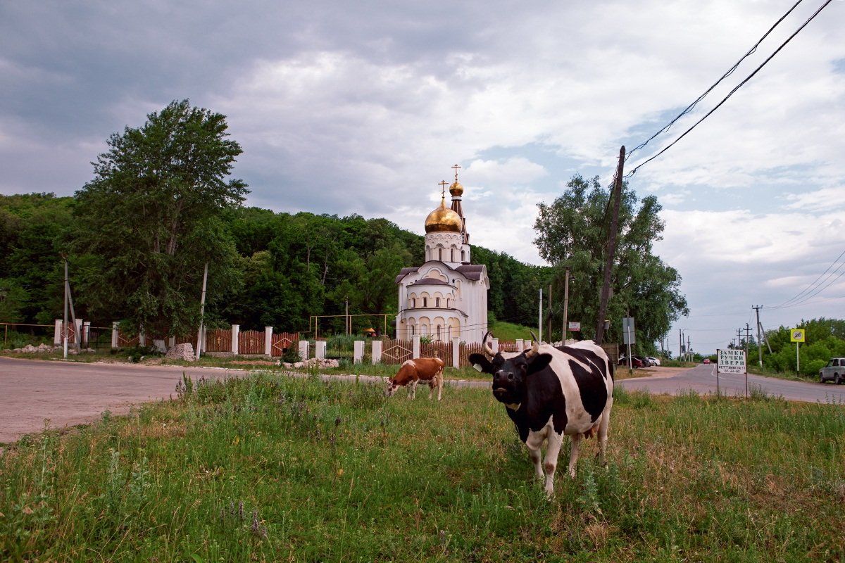 *** - Николай Алехин