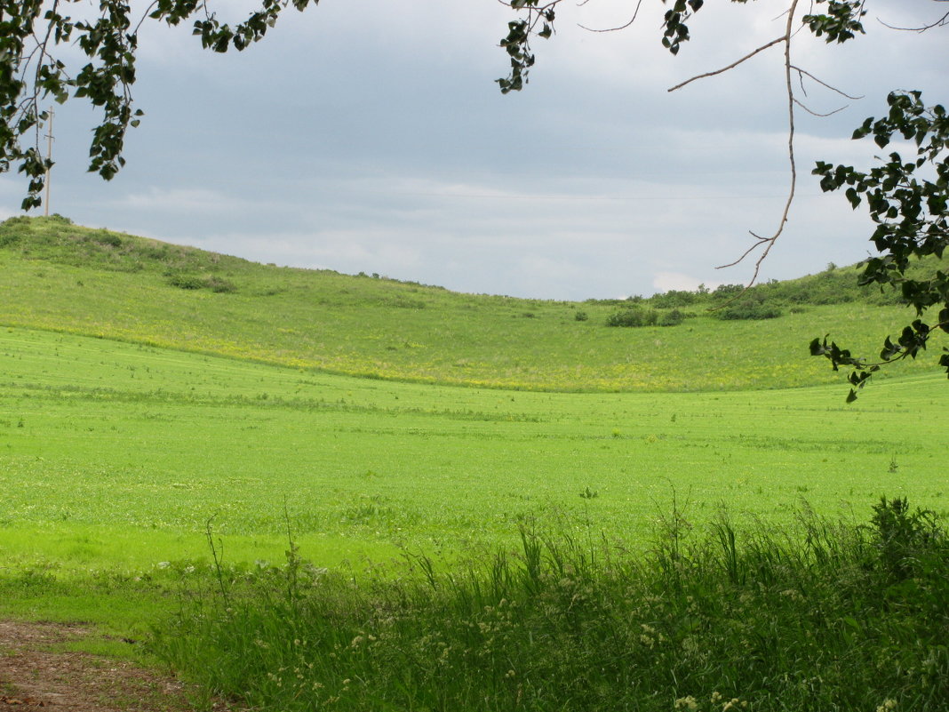 Казахстан, ВКО, горная ульбинка, - светлана 