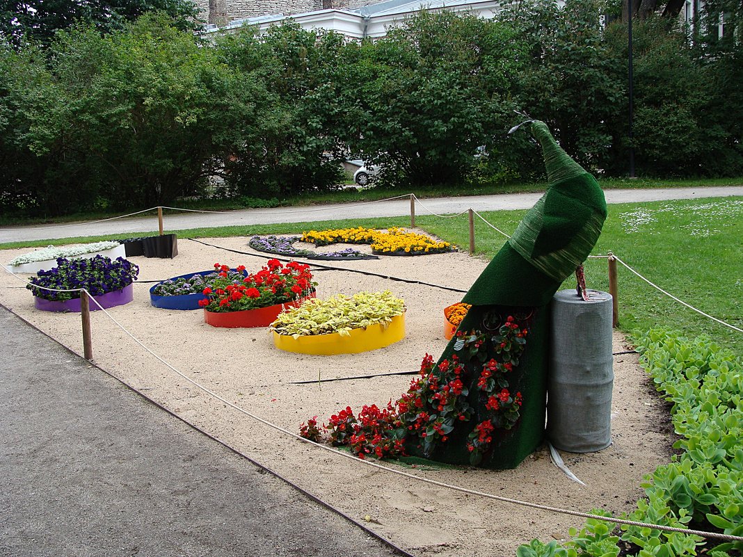Фестиваль цветов в Таллине 2015 - laana laadas