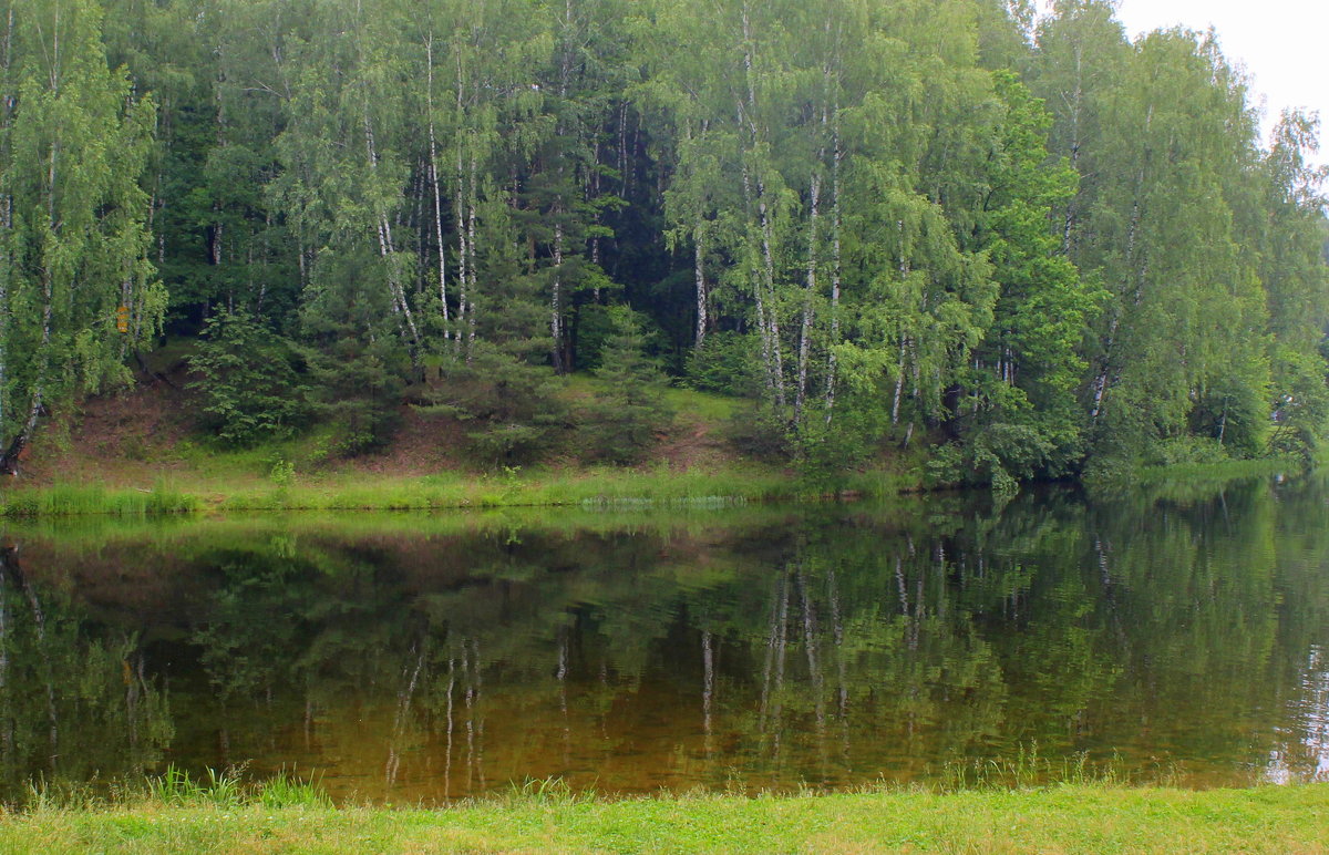 Пейзаж. У воды. - Larisa 