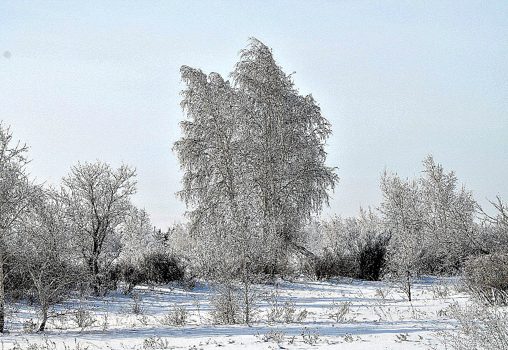 зима - Олег Белан