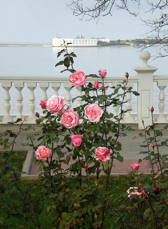 Розы на Приморском бульваре - Эля Юрасова