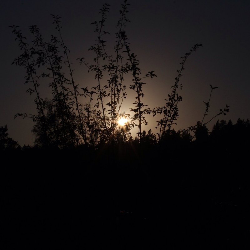 beautiful evening - Андрей Туксунов