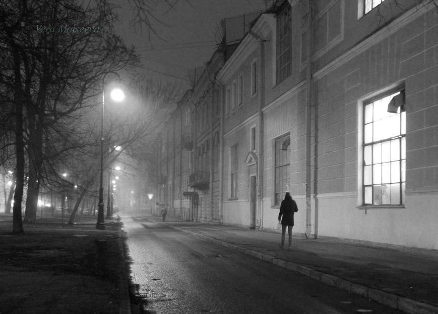 Один в тумане - Вера Моисеева