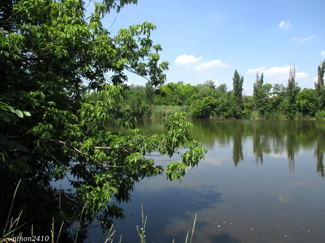 Озеро в ростовском зоопарке - Нина Бутко