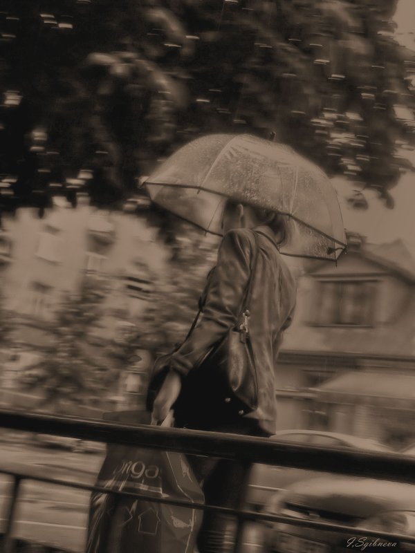 Летний дождь - Ирина сгибнева 