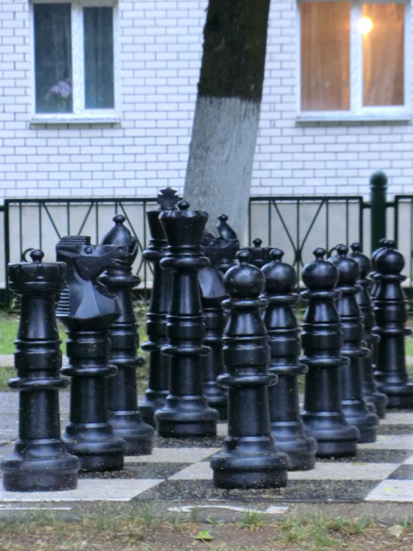 Пейзаж во Всемирный день шахмат 20 июня 2015... - Владимир Павлов