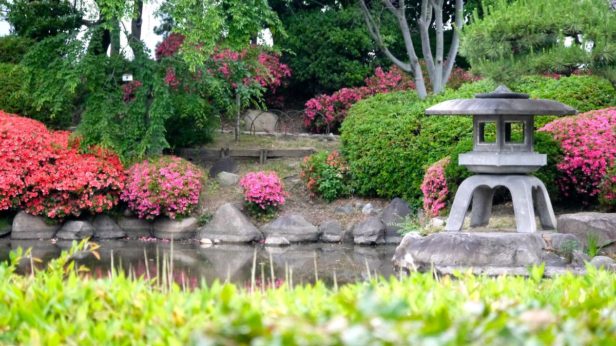 Японский сад - Тимур 