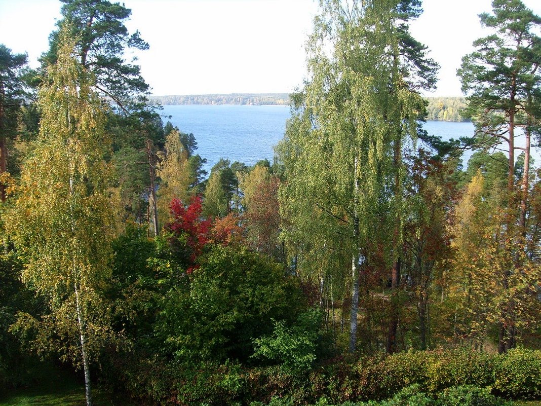 Hvitträsk, вид  на  озера Виттреск («Белое озеро») - Елена Павлова (Смолова)