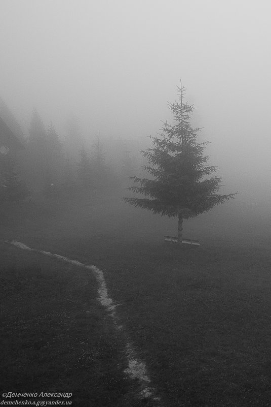 Туман - Александр Демченко