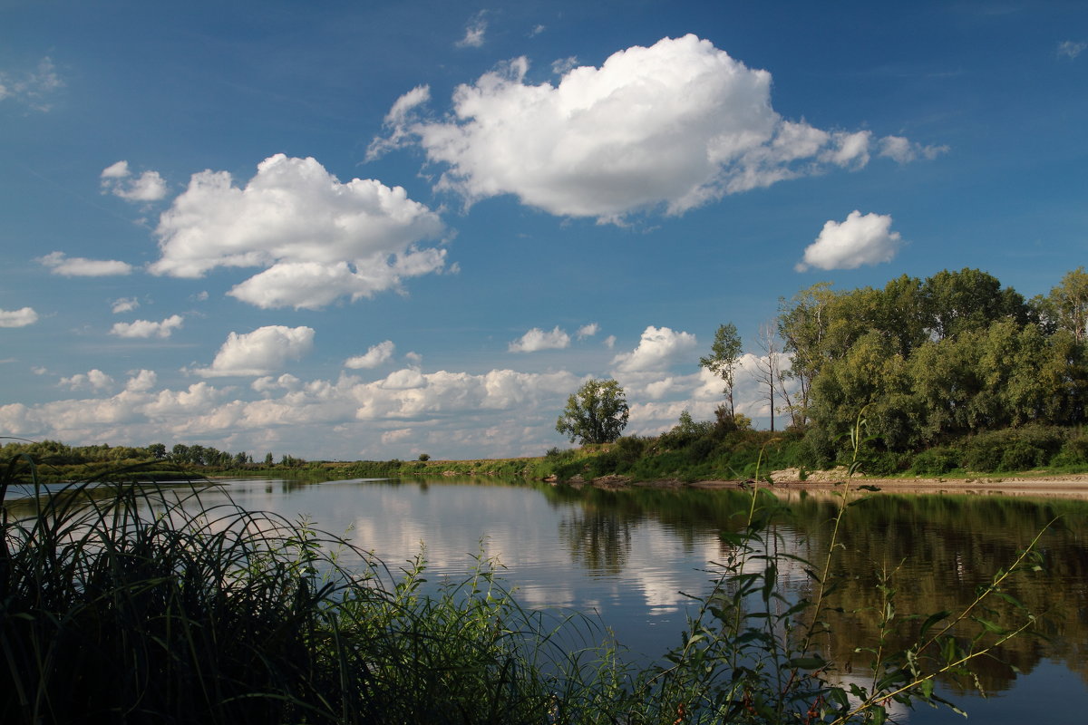 *** - Александр Школьник