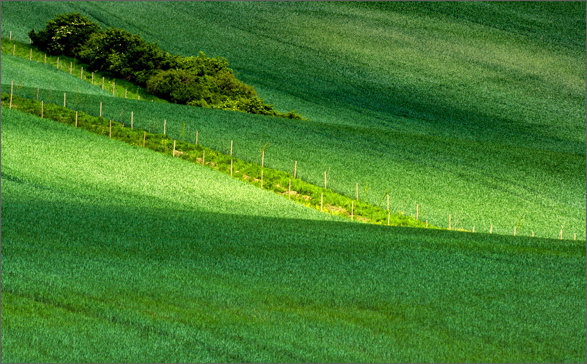 Зеленые волны Моравии - Инга Кондрашова 