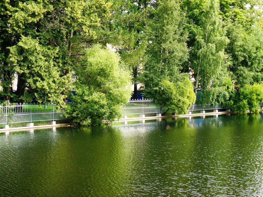 водное настроение... - Марина Харченкова