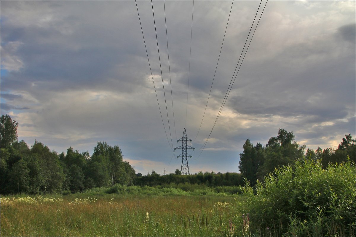 электрификация всей страны - Дмитрий Анцыферов