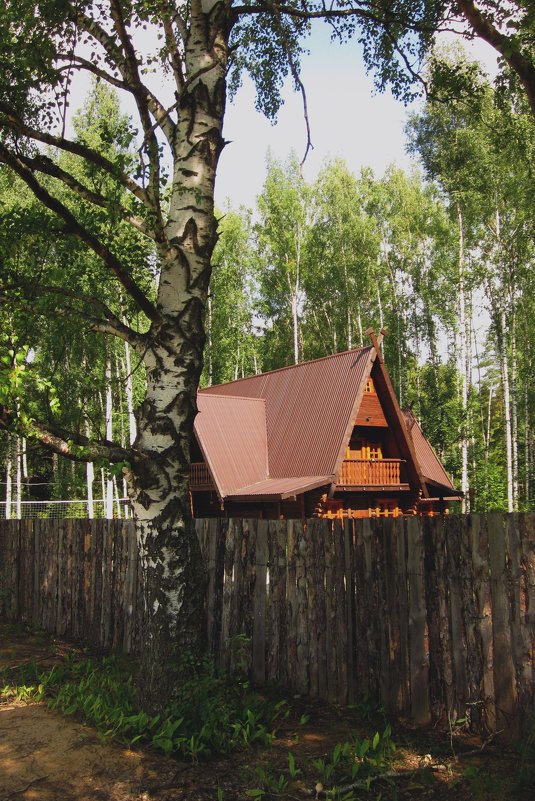 Домик в лесу - Павел Зюзин