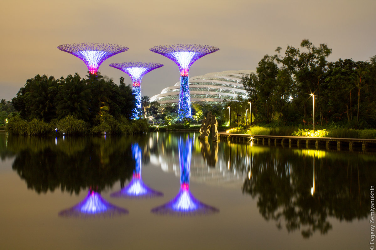 Singapore Marina Bay Garden - Евгений Землянухин