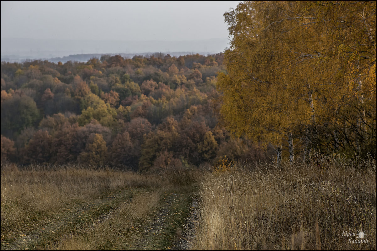 *** - Юрий Клишин