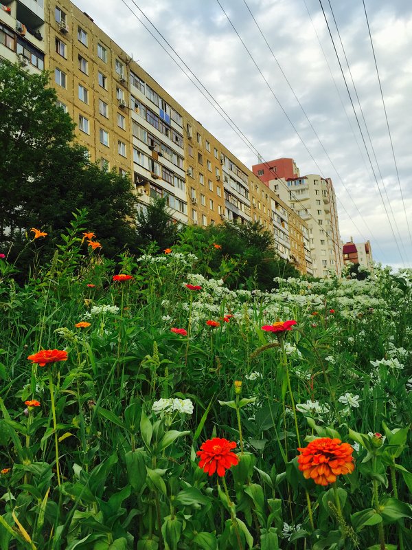 Город - Ильгам Кильдеев