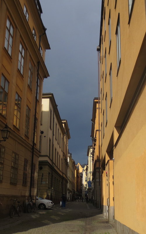 пасмурный день в Стокгольме - Елена 