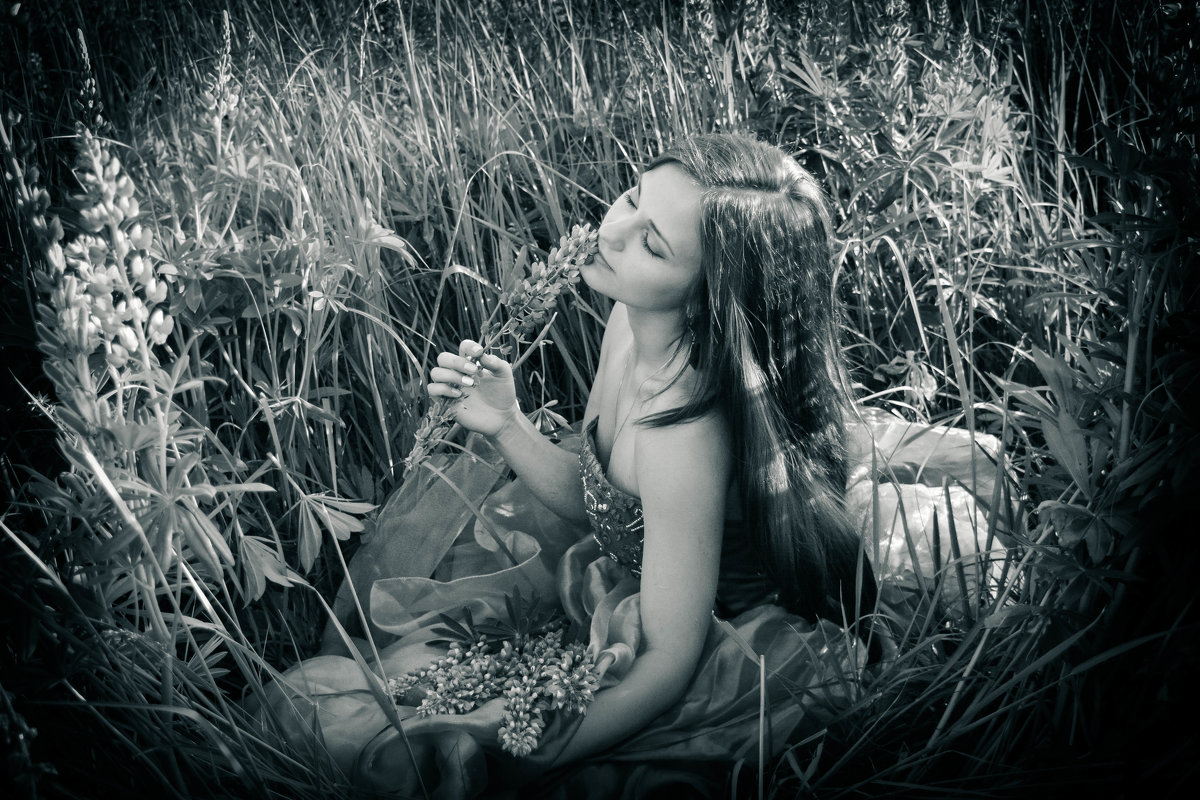 Девушка в люпиновом поле - Ольга Морозова
