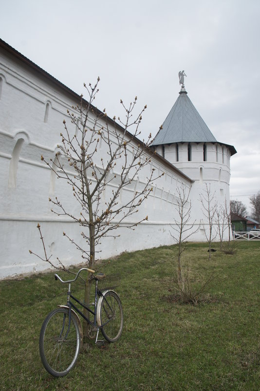 У стен монастыря в Серпухове - Irina Shtukmaster