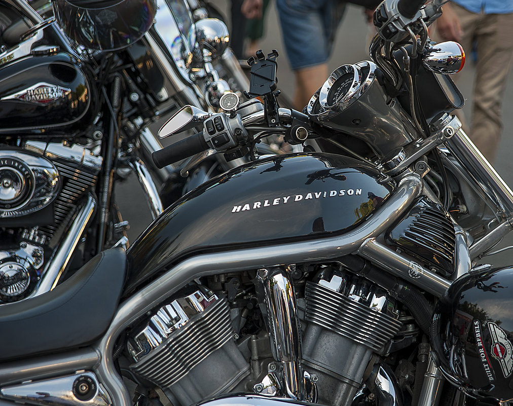 Harley-Davidson в Петербурге - Владимир Питерский