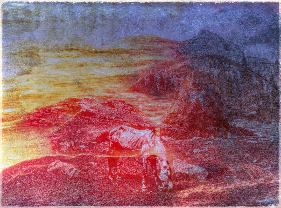 красный конь или белая лошадь - Алексей Карташев