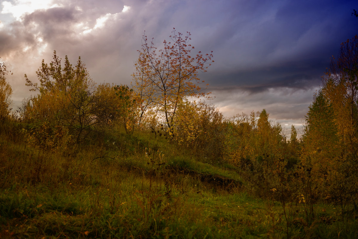 Осенний пейзаж - Катя Шерабурко
