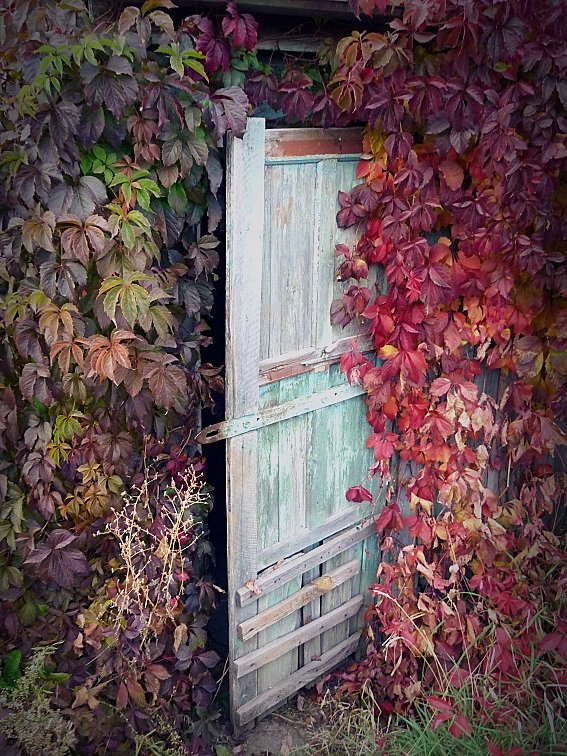 Дверь в осень - Олег Назаров