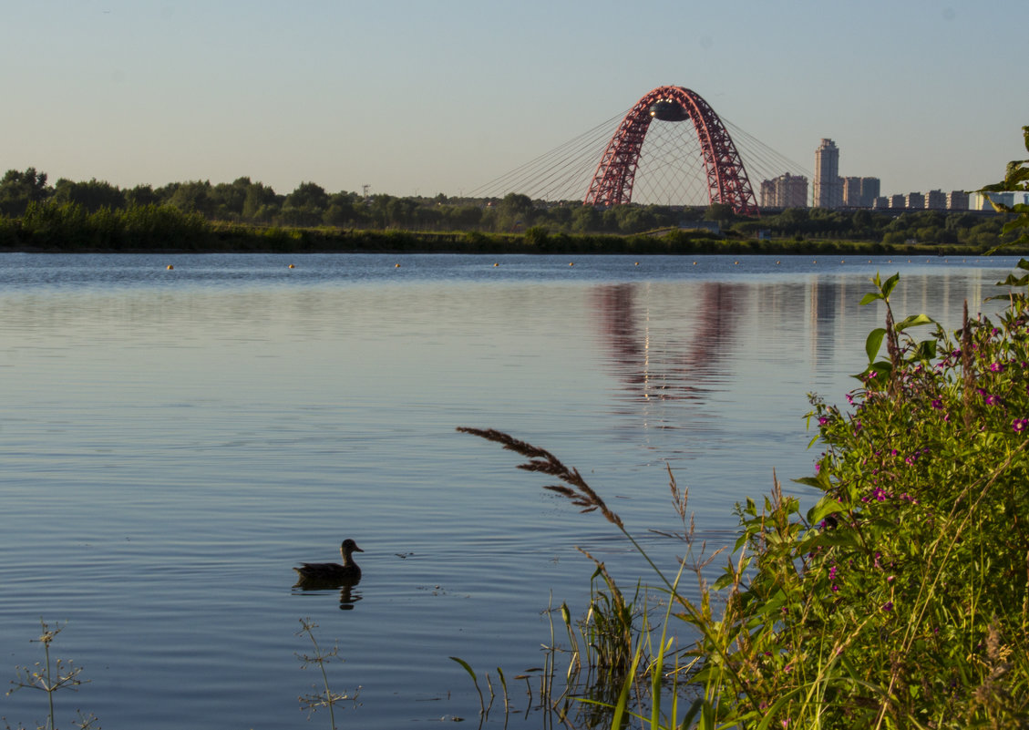 всё самое прекрасное в мгновениях... - Марийка 