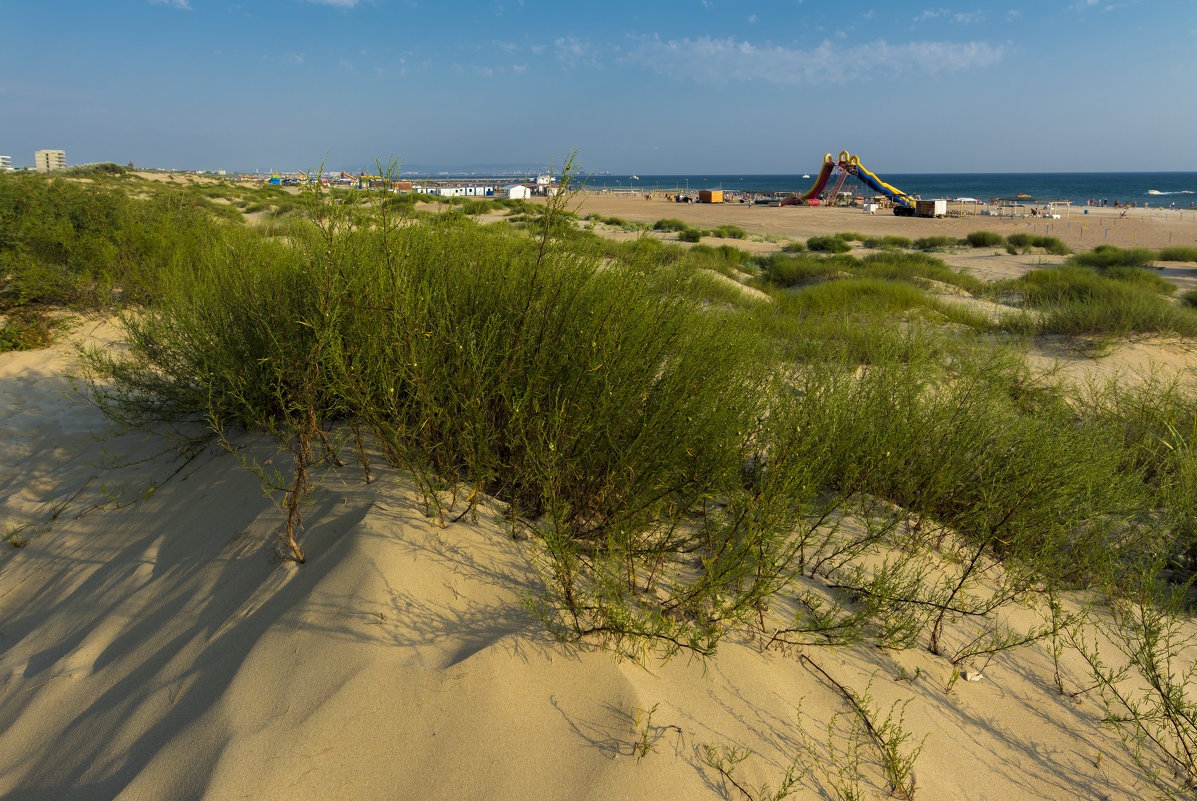 Золотой песок, изумрудная зелень, ... и Чёрное море - Юрий Митенёв