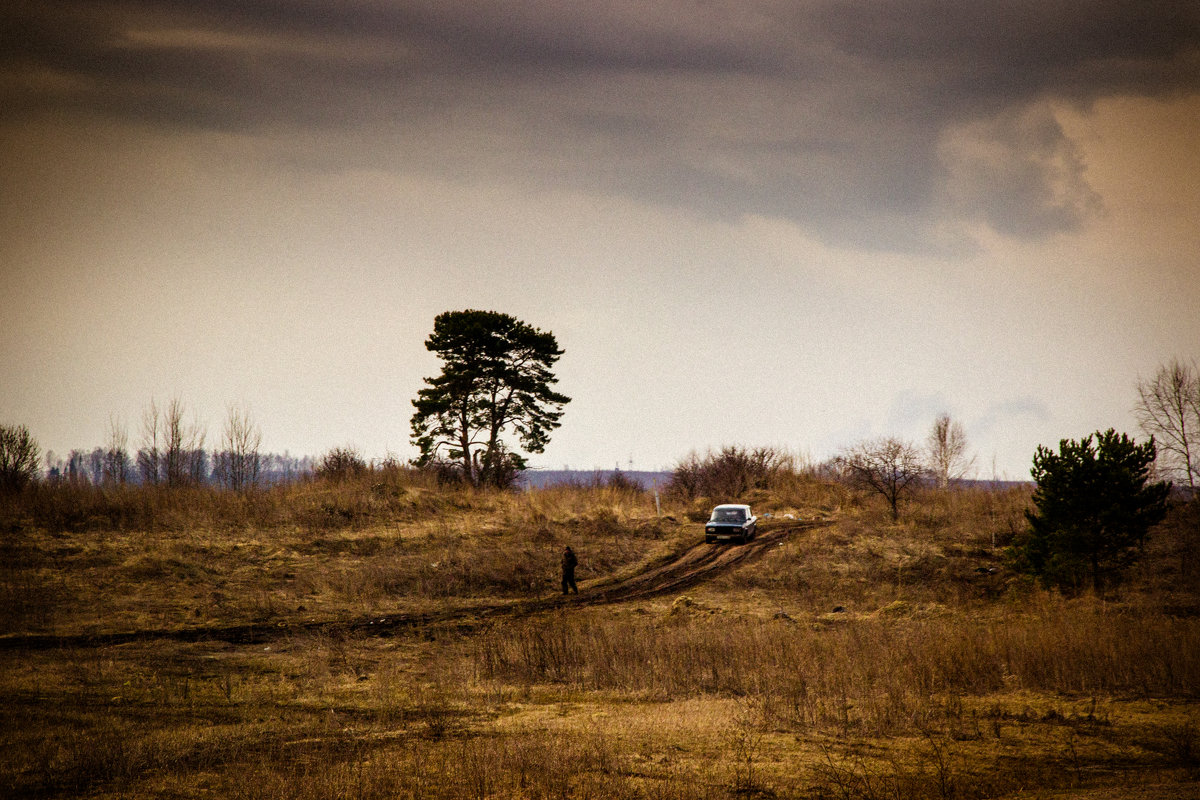 В поле - dmitriy-vdv 