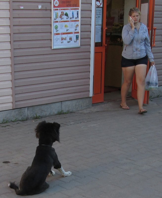 Собакин встречает хозяйку. - Sergey Serebrykov