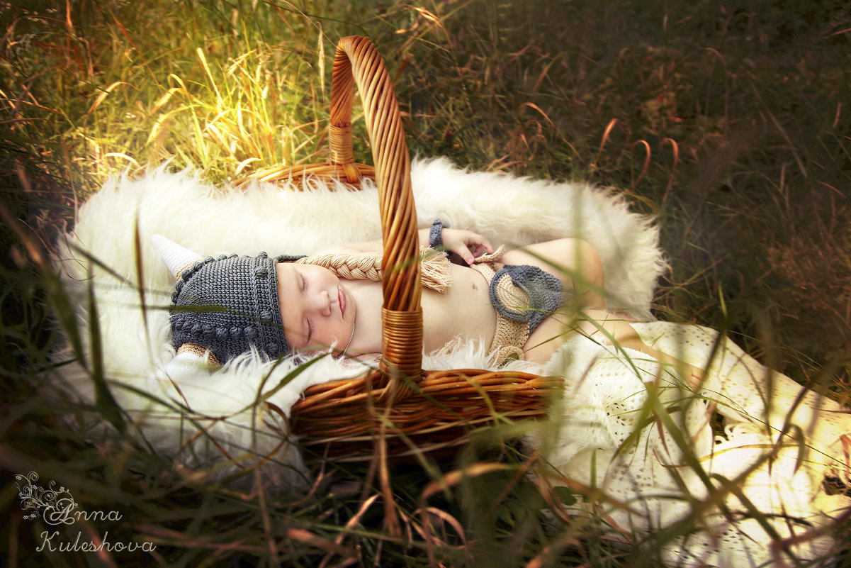 "Сон маленького викинга" - Анна Кулешова