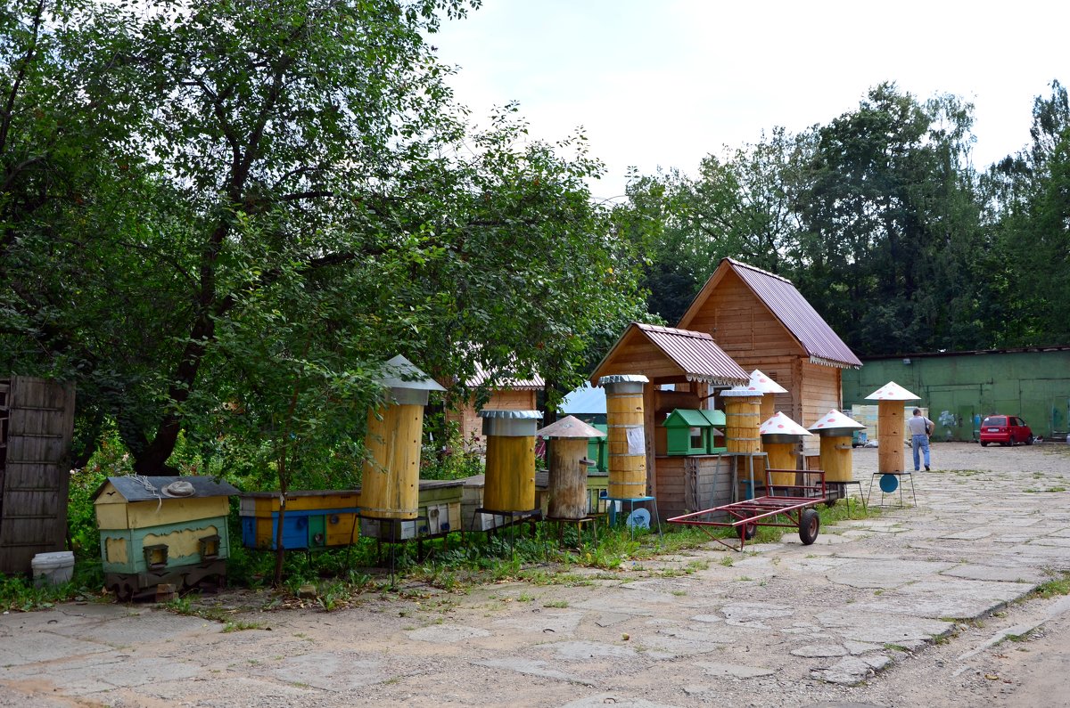 Дома для пчёл. - Oleg4618 Шутченко