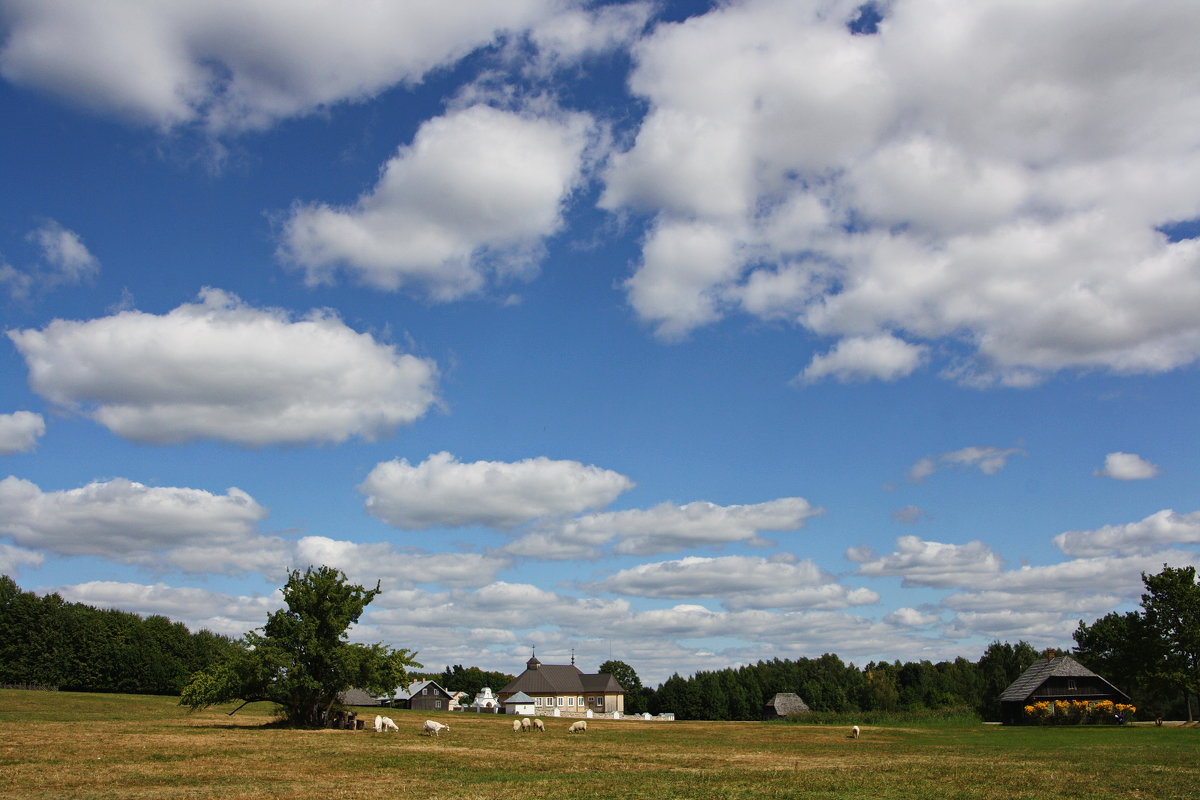 Дорога в городok - AstaA 