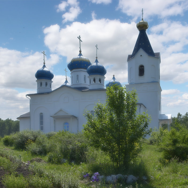 *** - Светлана Мещан