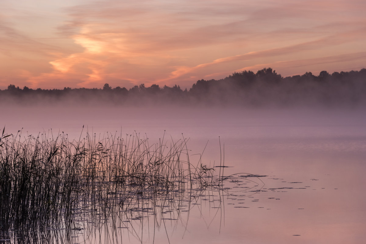 Рассвет на берегу Виесите (Латвия) во время фестиваля FotoFest-2015 21-23. Августа 2015 - Jevgenija St