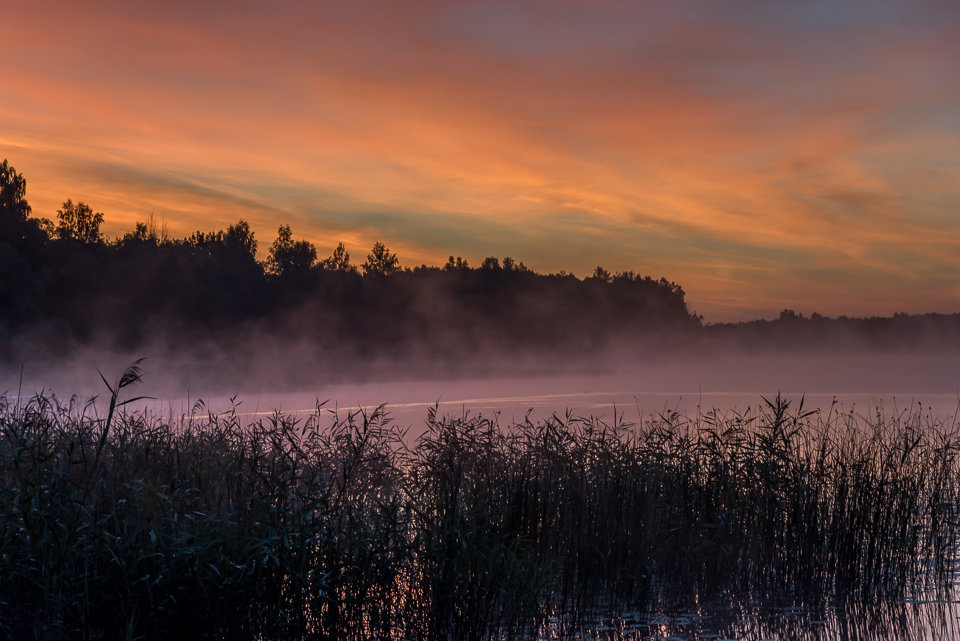 Рассвет на берегу Виесите (Латвия) во время фестиваля FotoFest-2015 21-23. Августа 2015 - Jevgenija St