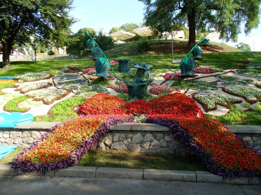 Выставка цветов в Киеве - Ростислав 