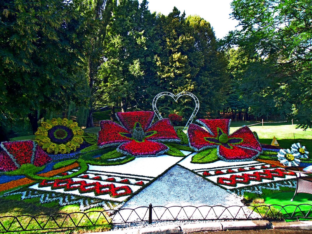 Выставка цветов в Киеве - Ростислав 