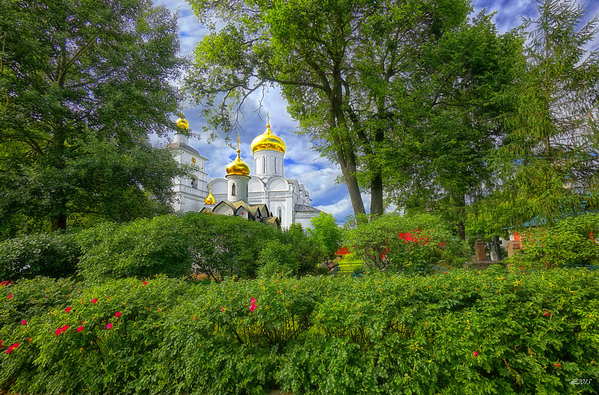 Дмитровский Борисоглебский монастырь - mila 