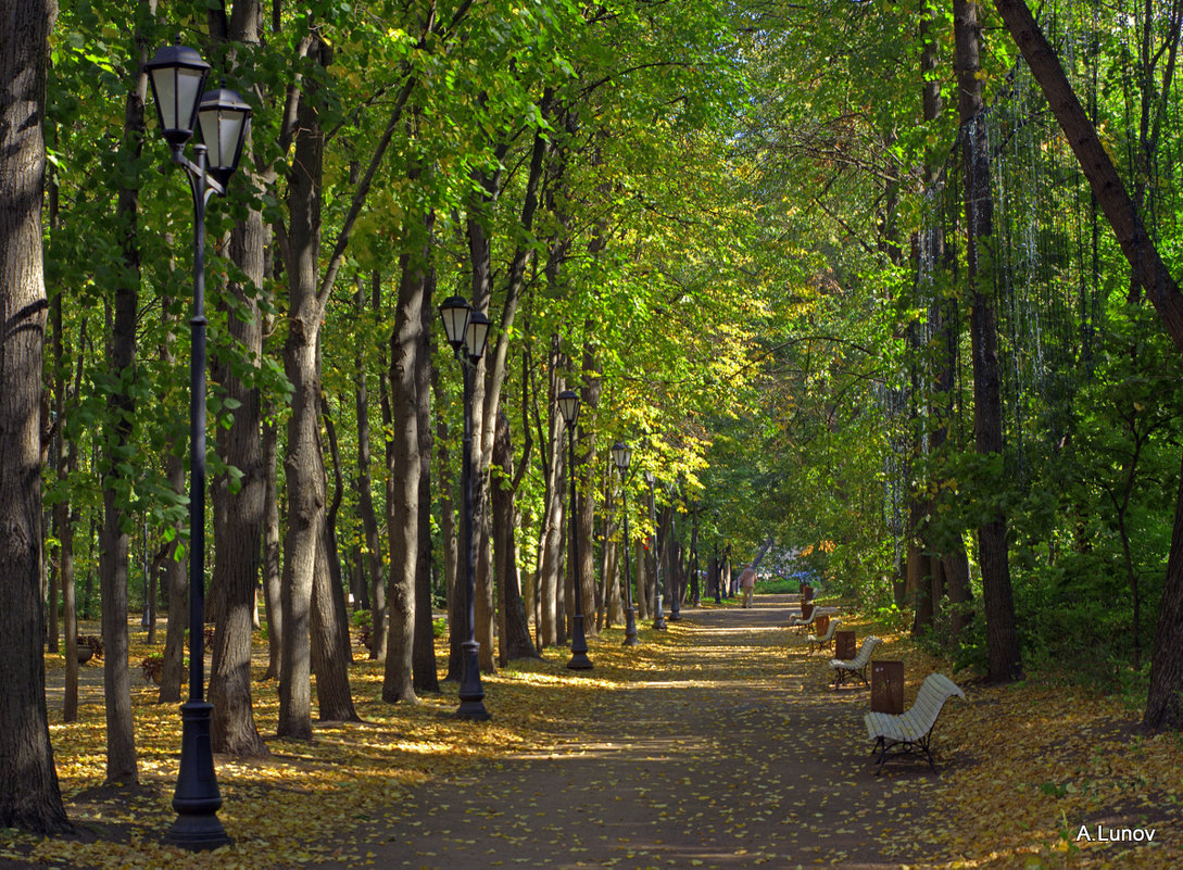 Парк Горького Москва Нескучный сад осенью