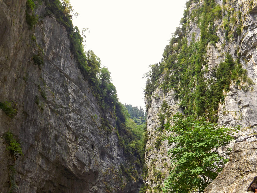 дорога через ущелье(Абхазия) - Ирина Мамчур (Малыгина)
