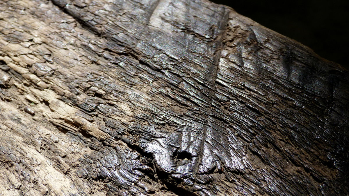 старая древесина, отполированная годами на лавочке - Александр Прокудин