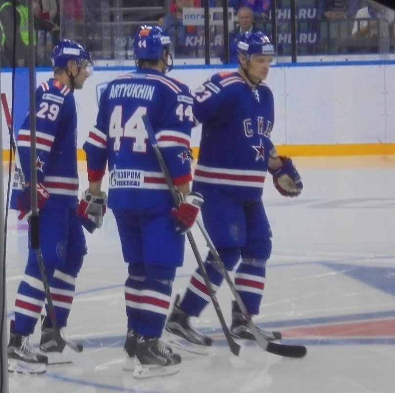 Хоккей СКА 2015 - ДС 13 Митя