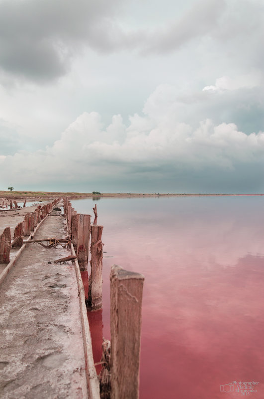 Розовое озеро - Владимир ...
