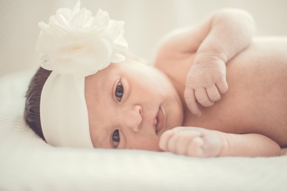 newborn - Daria 