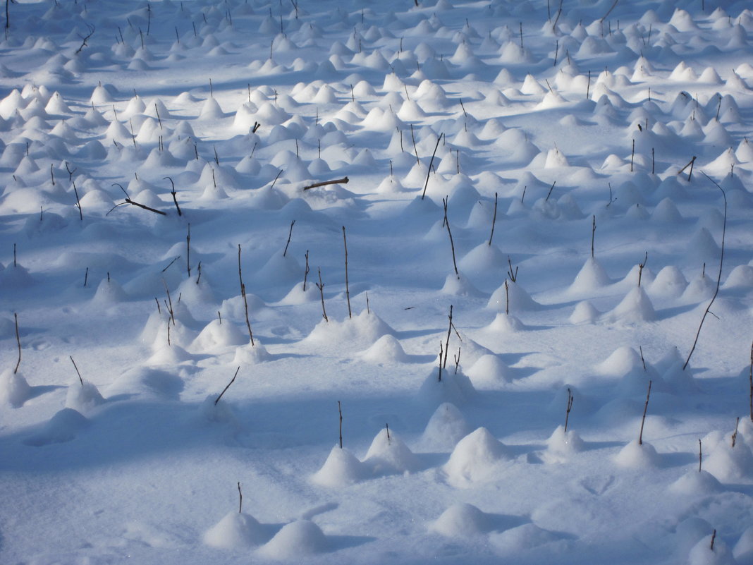 Зима - Андрей Королев 